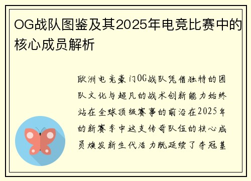 OG战队图鉴及其2025年电竞比赛中的核心成员解析